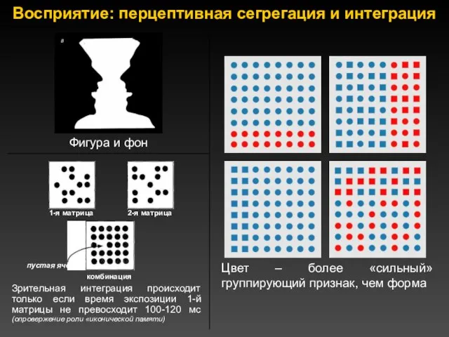 Восприятие: перцептивная сегрегация и интеграция Цвет – более «сильный» группирующий признак,