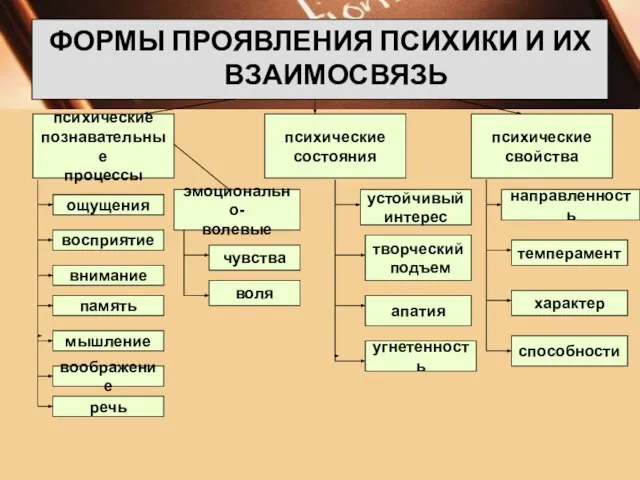 ФОРМЫ ПРОЯВЛЕНИЯ ПСИХИКИ И ИХ ВЗАИМОСВЯЗЬ психические познавательные процессы психические состояния