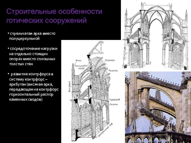 Строительные особенности готических сооружений стрельчатая арка вместо полуциркульной сосредоточение нагрузки на