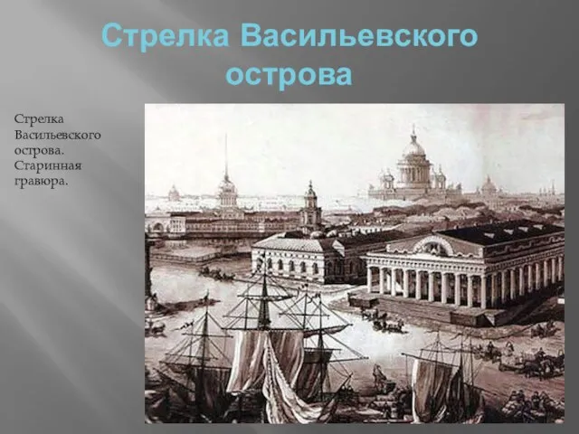 Стрелка Васильевского острова Стрелка Васильевского острова. Старинная гравюра.