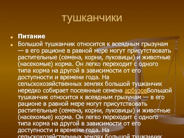 тушканчики Питание Большой тушканчик относится к всеядным грызунам — в его