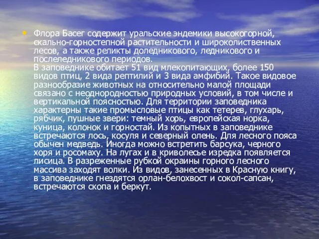 Флора Басег содержит уральские эндемики высокогорной, скально-горностепной растительности и широколиственных лесов,