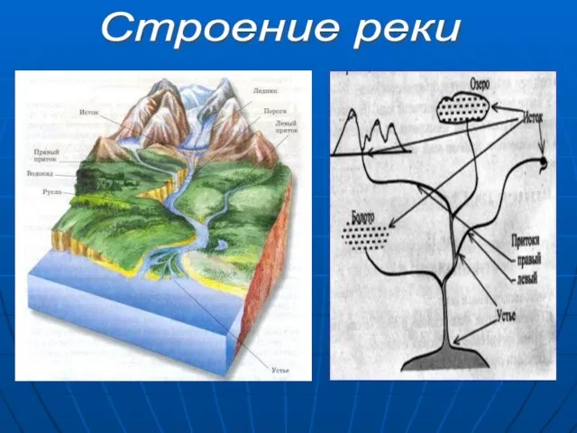 Строение реки