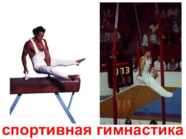 спортивная гимнастика