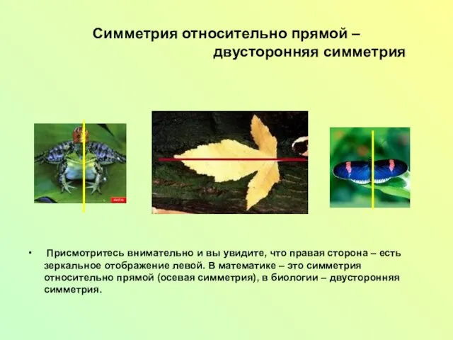 Симметрия относительно прямой – двусторонняя симметрия Присмотритесь внимательно и вы увидите,