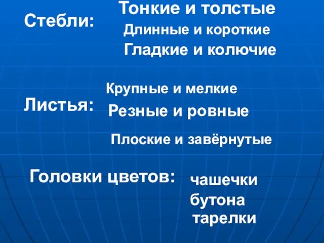 Стебли: Листья: Головки цветов: Тонкие и толстые Длинные и короткие Гладкие