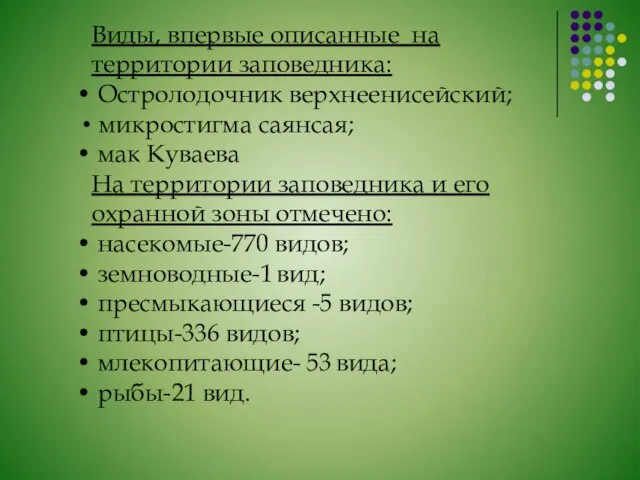 Виды, впервые описанные на территории заповедника: Остролодочник верхнеенисейский; микростигма саянсая; мак