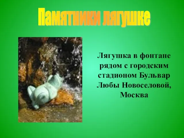 Лягушка в фонтане рядом с городским стадионом Бульвар Любы Новоселовой, Москва Памятники лягушке