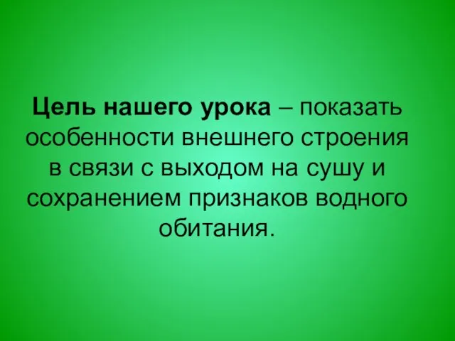 Цель нашего урока – показать особенности внешнего строения в связи с