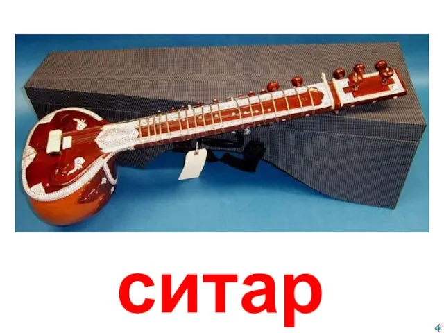 ситар