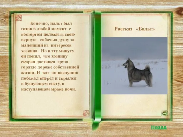 Рассказ «Бальт» Назад Конечно, Бальт был готов в любой момент с