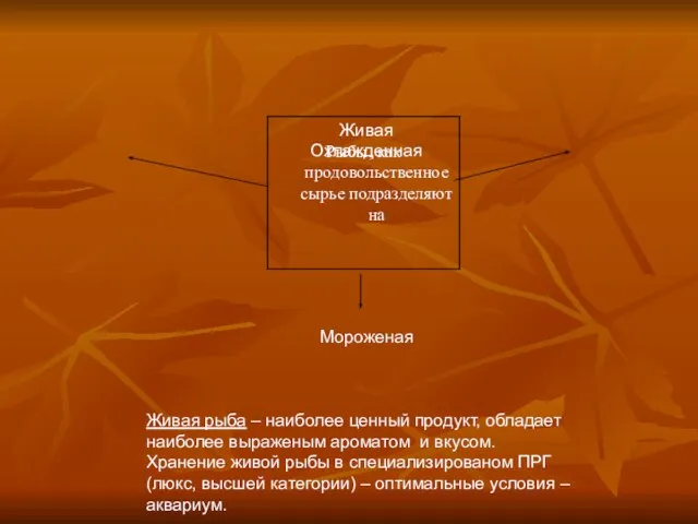 Живая Охлажденная Мороженая Живая рыба – наиболее ценный продукт, обладает наиболее