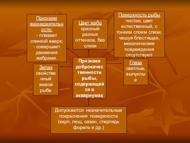 Признаки жизнедеятельности: - плавает спинкой вверх; - совершает движения жабрами. Поверхность