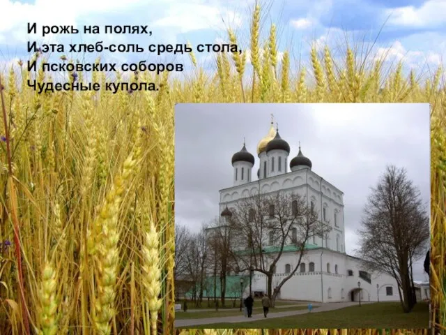 И рожь на полях, И эта хлеб-соль средь стола, И псковских соборов Чудесные купола.