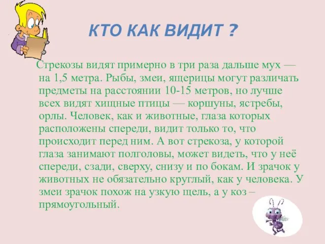 КТО КАК ВИДИТ ? Стрекозы видят примерно в три раза дальше