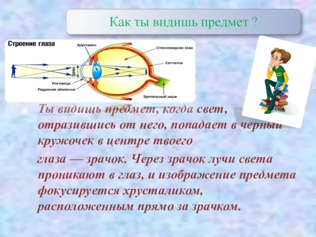 Ты видишь предмет, когда свет, отразившись от него, попадает в черный