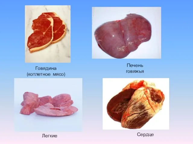 Говядина (котлетное мясо) Легкие Сердце Печень говяжья