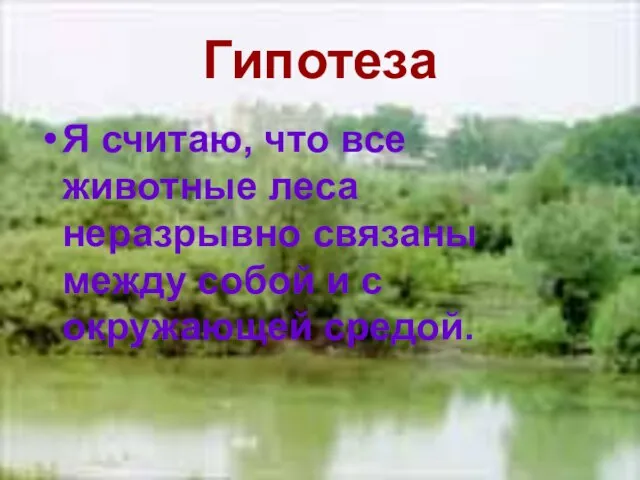 Гипотеза Я считаю, что все животные леса неразрывно связаны между собой и с окружающей средой.