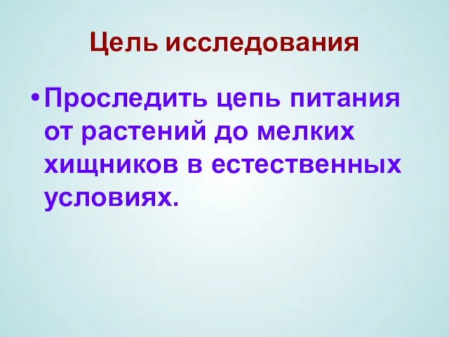 Цель исследования Проследить цепь питания от растений до мелких хищников в естественных условиях.