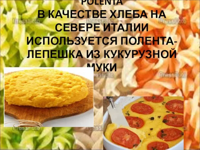 POLENTA В КАЧЕСТВЕ ХЛЕБА НА СЕВЕРЕ ИТАЛИИ ИСПОЛЬЗУЕТСЯ ПОЛЕНТА-ЛЕПЕШКА ИЗ КУКУРУЗНОЙ МУКИ