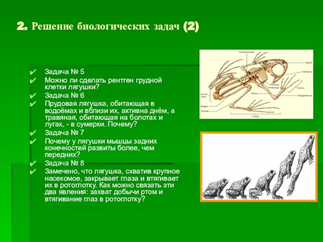 Задача № 5 Можно ли сделать рентген грудной клетки лягушки? Задача