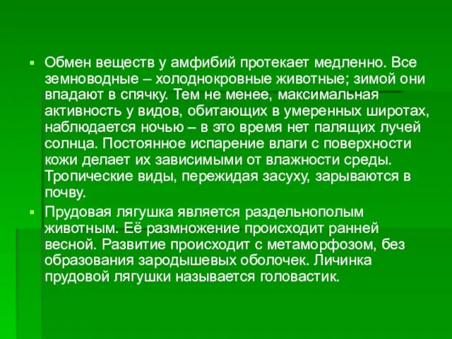 Обмен веществ у амфибий протекает медленно. Все земноводные – холоднокровные животные;