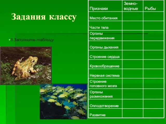 Задания классу 3.Заполнить таблицу