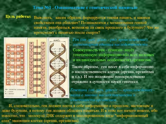 Тема №1 . Ознакомление с генетической памятью Цель работы: Выяснить, каким