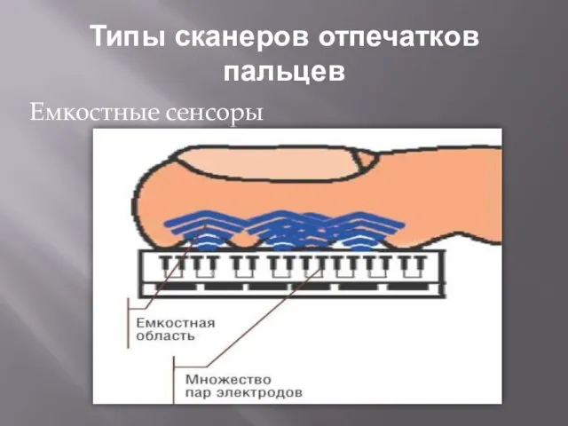 Типы сканеров отпечатков пальцев Емкостные сенсоры