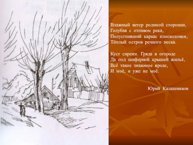 Влажный ветер родимой сторонки, Голубая с отливом река, Полусгнивший каркас плоскодонки,