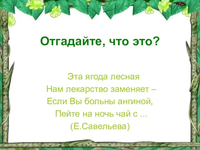 Отгадайте, что это? Эта ягода лесная Нам лекарство заменяет – Если