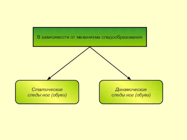В зависимости от механизма следообразования Статические следы ног (обуви) Динамические следы ног (обуви)