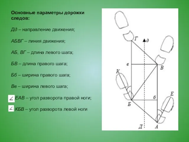 Основные параметры дорожки следов: Дд – направление движения; АБВГ – линия