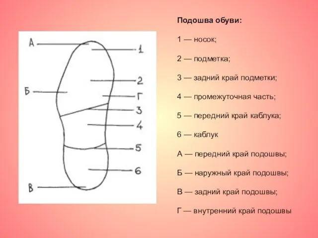 Подошва обуви: 1 — носок; 2 — подметка; 3 — задний