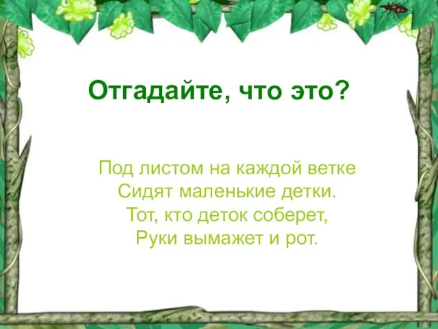 Отгадайте, что это? Под листом на каждой ветке Сидят маленькие детки.