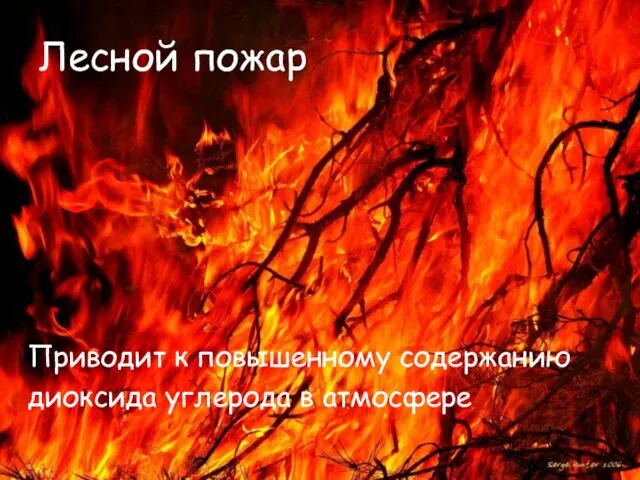 Лесной пожар Приводит к повышенному содержанию диоксида углерода в атмосфере