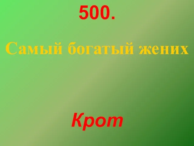 500. Самый богатый жених Крот