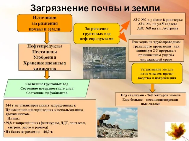 Загрязнение почвы и земли Источники загрязнения почвы и земли Нефтепродукты Пестициды