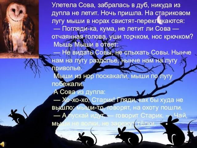 Улетела Сова, забралась в дуб, никуда из дупла не летит. Ночь