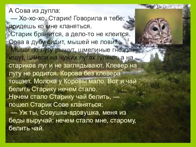 А Сова из дупла: — Хо-хо-хо, Старик! Говорила я тебе: придешь