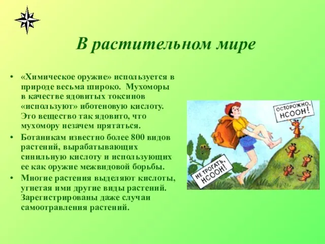 В растительном мире «Химическое оружие» используется в природе весьма широко. Мухоморы