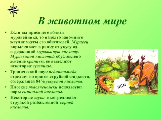 В животном мире Если вы присядете вблизи муравейника, то надолго запомните