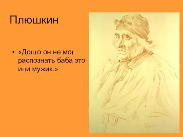 Плюшкин «Долго он не мог распознать баба это или мужик.»