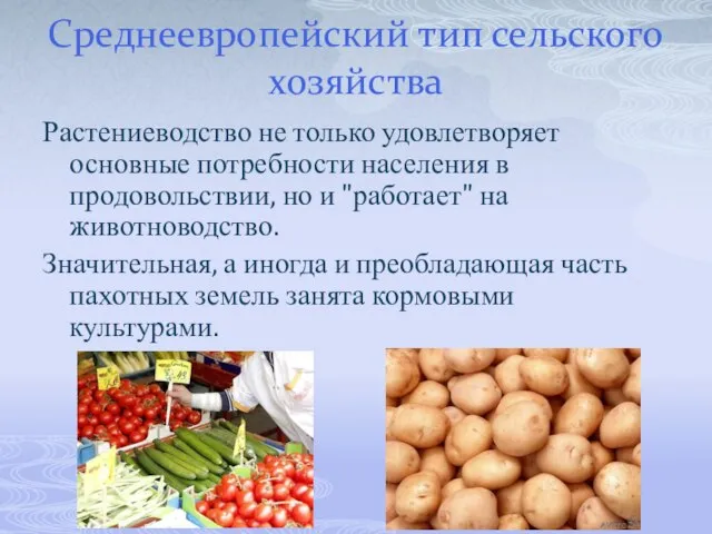 Среднеевропейский тип сельского хозяйства Растениеводство не только удовлетворяет основные потребности населения