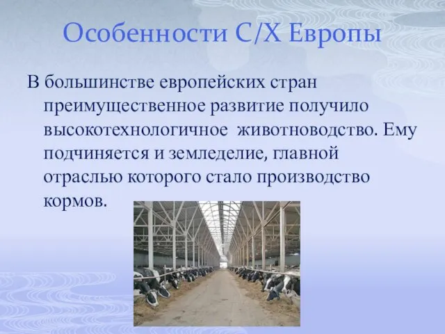 В большинстве европейских стран преимущественное развитие получило высокотехнологичное животноводство. Ему подчиняется