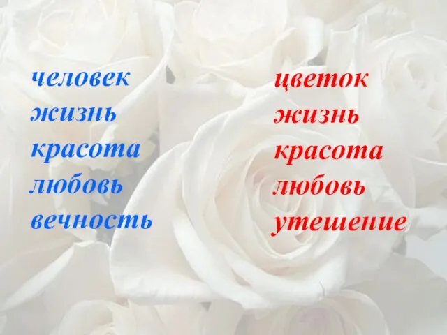 человек жизнь красота любовь вечность цветок жизнь красота любовь утешение