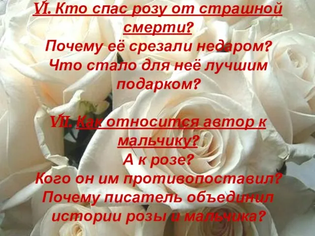 VI. Кто спас розу от страшной смерти? Почему её срезали недаром?