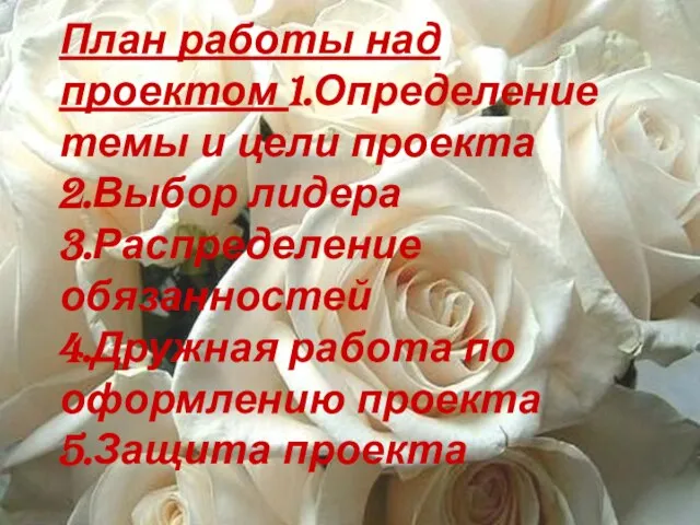 План работы над проектом 1.Определение темы и цели проекта 2.Выбор лидера