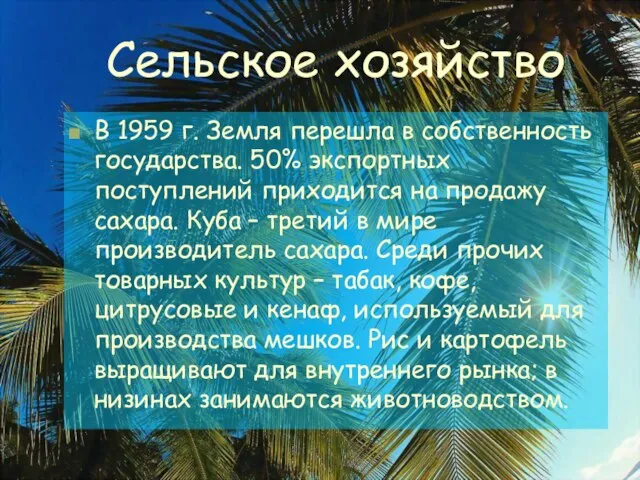 Сельское хозяйство В 1959 г. Земля перешла в собственность государства. 50%