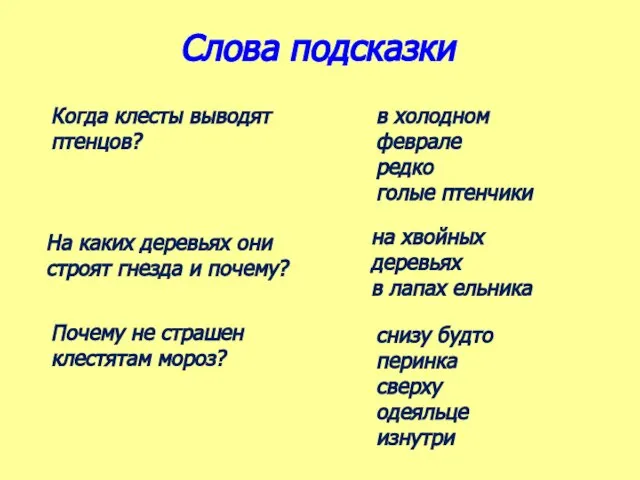 Слова подсказки Когда клесты выводят птенцов? в холодном феврале редко голые